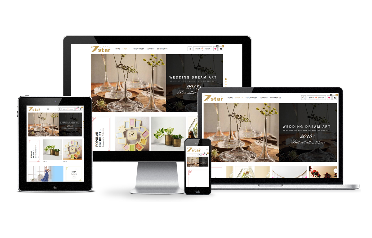 Web Design and Development
